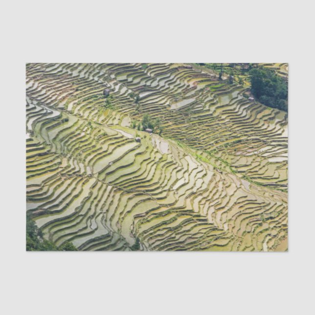 Berühmte Yuanyang Rice Terraces - Yunnan, China Seidenpapier (Vorderseite)
