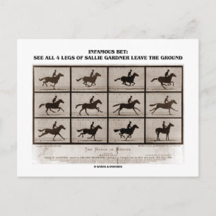 Berühmter Einsatz 4 Legs Sallie Gardner Verließ Bo Postkarte