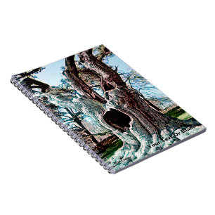 Berühmter Filmbaum Notizblock