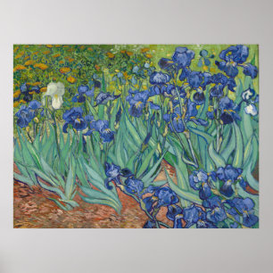 Berühmtes blaues Schwertlilien-Blumenölgemälde von Poster