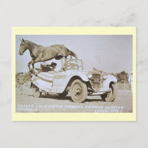 Berühmtes Springpferd, Rodeo, Kalifornien Vintage Postkarte