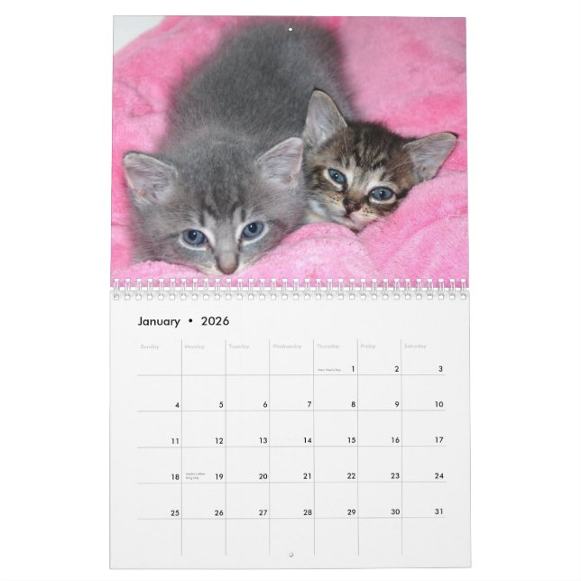 Berühmtes Wunder-Manx Kalender (Jan 2026)