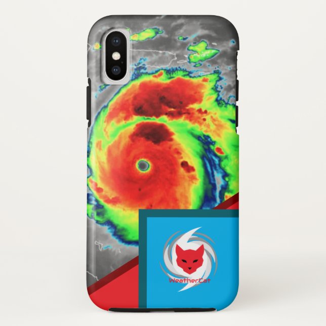 Beryl WeatherCat-Handyhülle Case-Mate iPhone Hülle (Rückseite)
