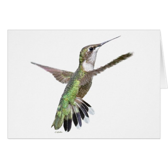 Berylline Hummingbird Painting (Vorderseite (Horizontal))