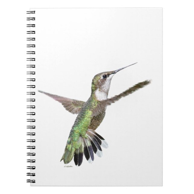 Berylline Hummingbird Painting Notizblock (Vorderseite)