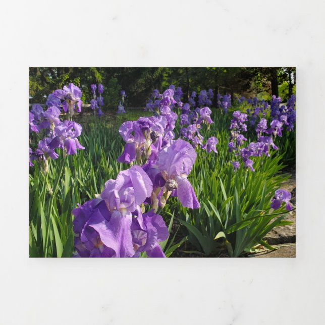 Beschädigte und akkubetriebene Karte (Cover)