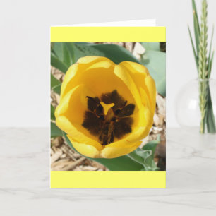 Beschäftigte Bienen-Tulpe-Karte Karte