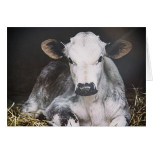 Beschäftigte Tagesernte