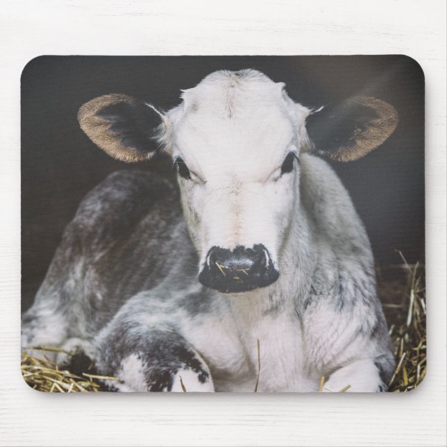 Beschäftigte Tagesernte Mousepad (Vorne)