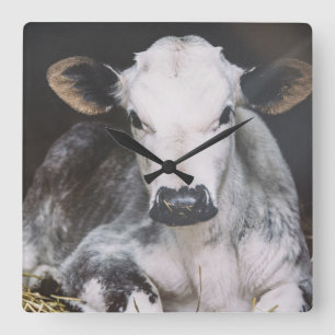 Beschäftigte Tagesernte Quadratische Wanduhr