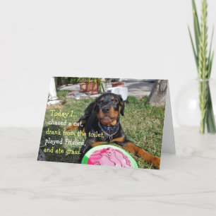 Beschäftigtes Rottweiler-Welpen-Jubiläumskarte Karte