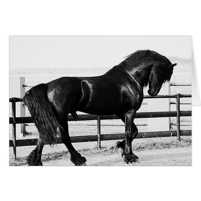 bescheiden (Vorderseite (Horizontal))