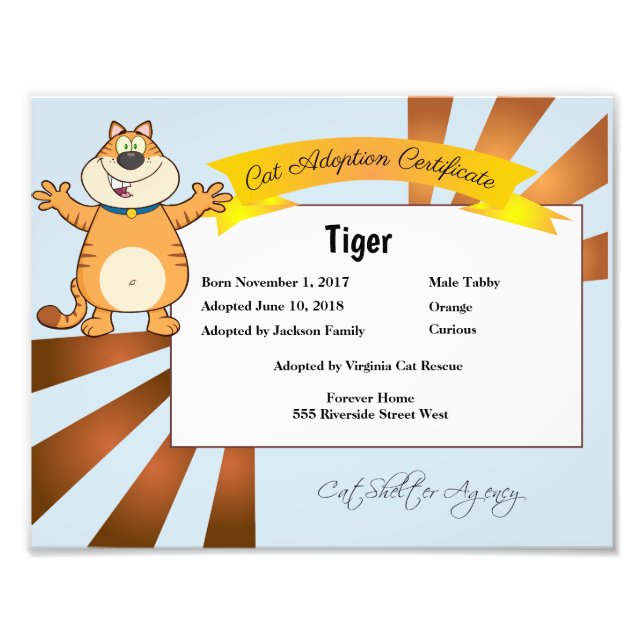 Bescheinigung über die Adoption von Katzen Fotodruck (Vorne)