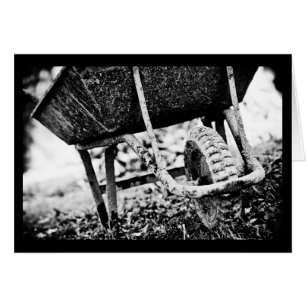 beschichteter Träger