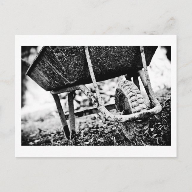 beschichteter Träger Postkarte (Vorderseite)