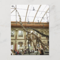 Beschreibung Museum f?r Naturkunde, Berlin: Skelet