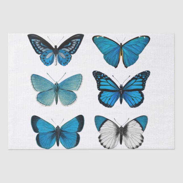 BESCHREIBUNGSPAPIER: BUTTERFLIES SEIDENPAPIER (Vorderseite)