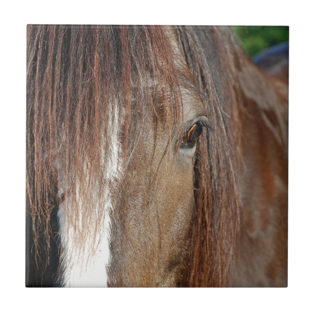 beschwören fliese (Vorderseite)