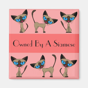 Besessen durch einen siamesischen Magneten Magnet