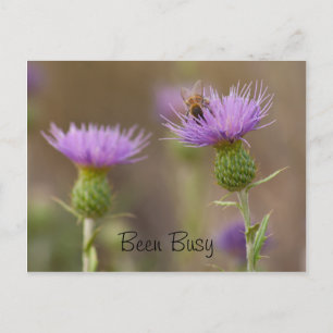 Besetzte Beete auf Lila Thistle-Fotografie individ Postkarte