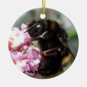 Besetzte Hummeln und rosa Blume Ornament