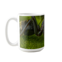 Besetzte schwarze Ant auf grünem Blatt