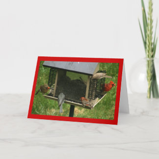 Besetzter Vogelzueder Karte