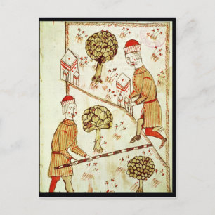 Besichtigung und Abgrenzung von Land Postkarte