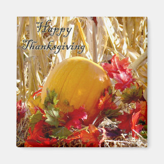 Besiedelt in Rot Magnet