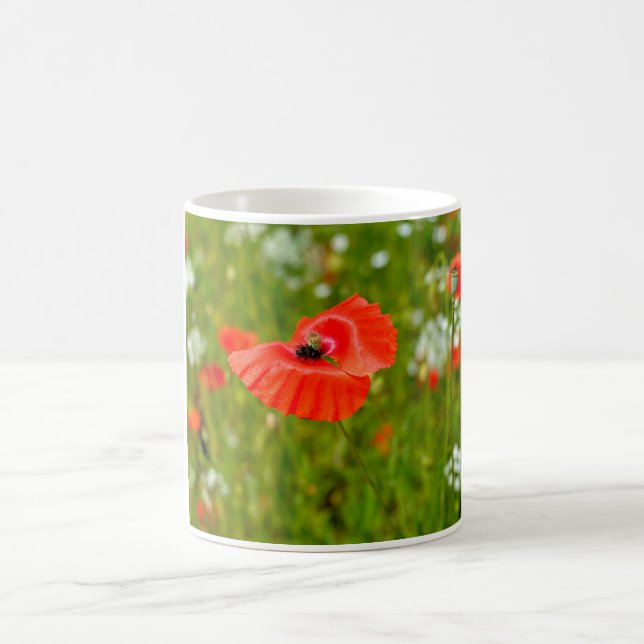 Besiedelung von Mohn Kaffeetasse (Mittel)