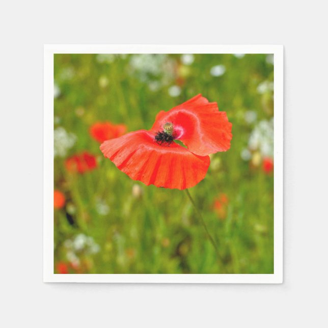 Besiedelung von Mohn Serviette (Vorderseite)
