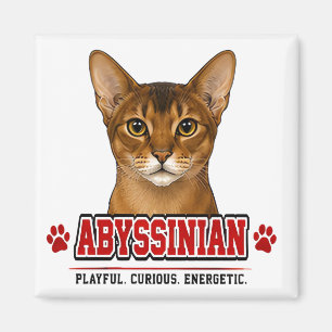 🐾 Besitzer einer Abessinierkatze - Familienstolz Magnet