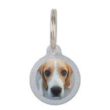 Besitzer von Silver Glitzer Pet Dog Custom Foto