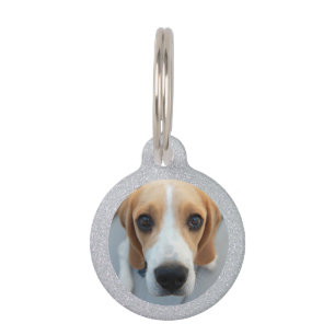 Besitzer von Silver Glitzer Pet Dog Custom Foto Haustiermarke