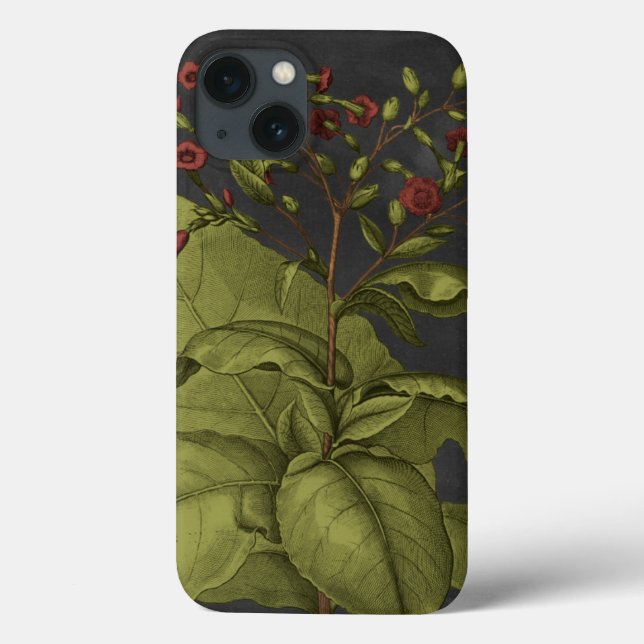 Besler Dramatique I Case-Mate iPhone Hülle (Rückseite)