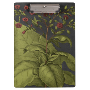 Besler Dramatique I Klemmbrett