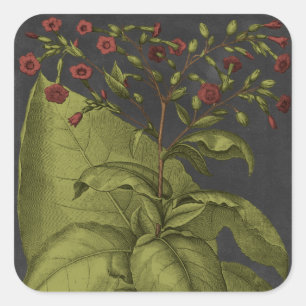 Besler Dramatique I Quadratischer Aufkleber