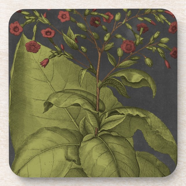 Besler Dramatique I Untersetzer (Vorderseite)