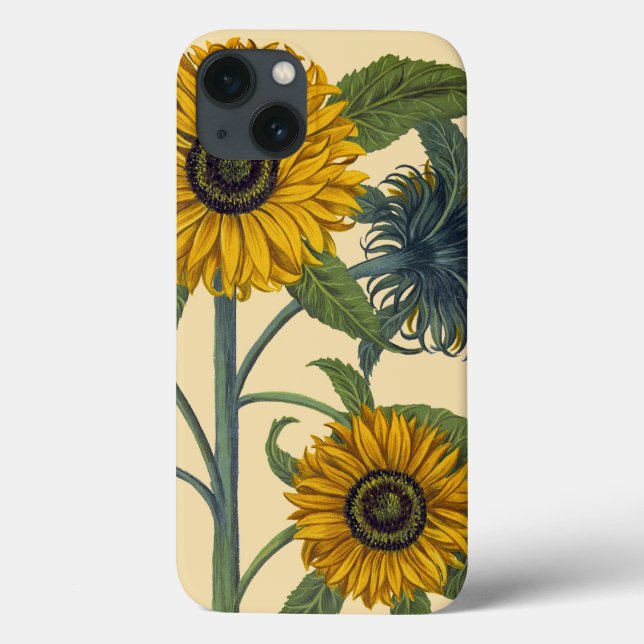 Besler: Sonnenblume Case-Mate iPhone Hülle (Rückseite)