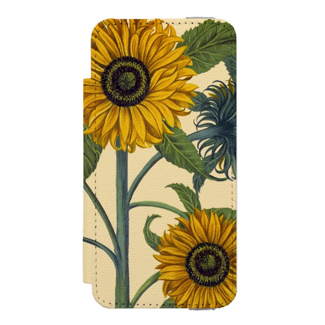 Besler: Sonnenblume Incipio iPhone Geldbeutel-Hülle (Folio Vorderseite)