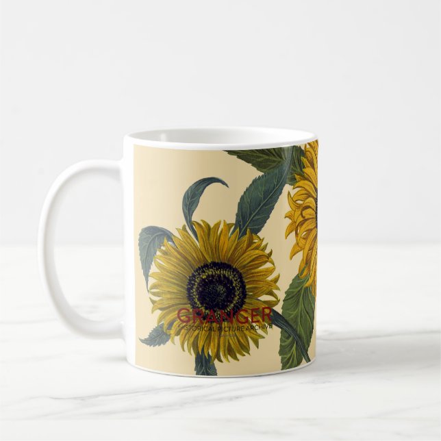 Besler: Sonnenblume Kaffeetasse (Links)