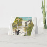 Besondere Freundschaftsbotschaften: Katzen und Oze