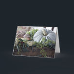 **BESONDERE HERBSTSTAG "WISHES FRIEND" KARTE<br><div class="desc">ALLE MEINE KARTEN WERDEN MIT LIEBE GEMACHT UND ICH WOLLTE JEDEM ZU WISSEN, DASS SIE "ALLE" SIND, UM "BESONDERS" FÜR SIE IN SEKUNDEN DURCH ÄNDERUNG EINER DER VERSIONEN INNERHALB UND AUSGESCHLOSSEN WERDEN KÖNNEN. ICH WOLLTE, GLÜCKLICH FALL UND ERNTEDANK ZU SAGEN UND DANKE, DASS SIE VON EINER MEINER ACHT GESCHICHTEN GESCHAFFEN...</div>