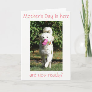 BESONDERER WUNSCH FÜR ***MAMA*** AM MUTTERTAG KARTE