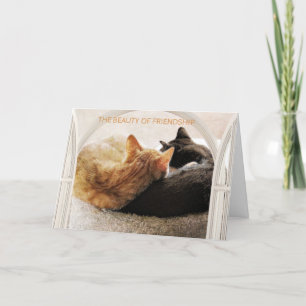 BESONDERES FREUND GLÜCKLICH BIRTHTAG KARTE