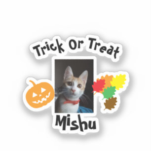 Besorgte rote Katze, Foto Name, Anpassen, Hallowee Aufkleber