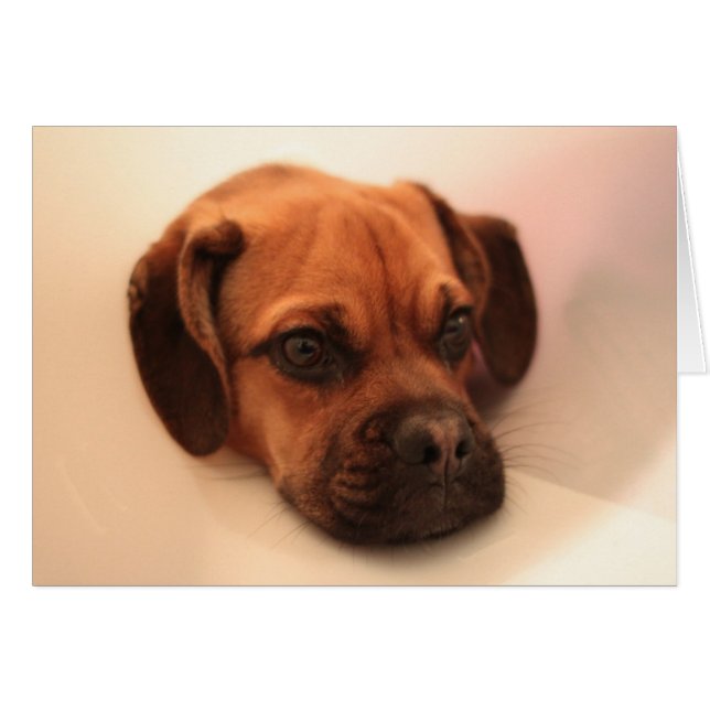 besser werden (Vorderseite (Horizontal))