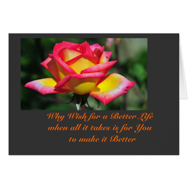 Besseres Leben (Vorderseite (Horizontal))