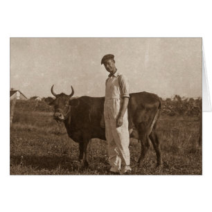 Bessie the Cow