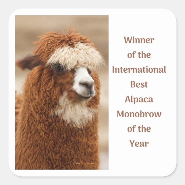 Best Alpaca Monobrow Quadratischer Aufkleber (Vorderseite)